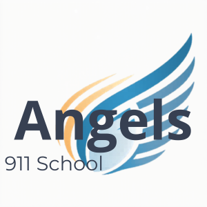 NO BG 911logo